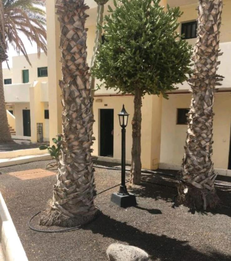 Suri Costa Teguise Apartment Exterior foto