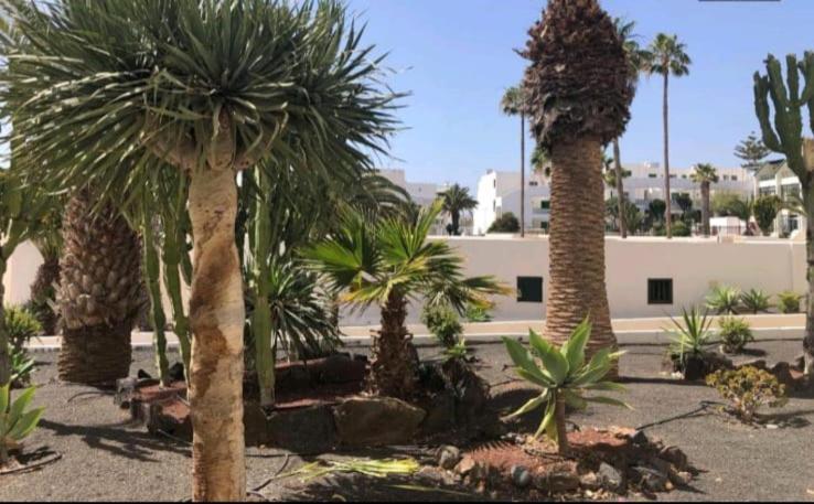 Suri Costa Teguise Apartment Exterior foto